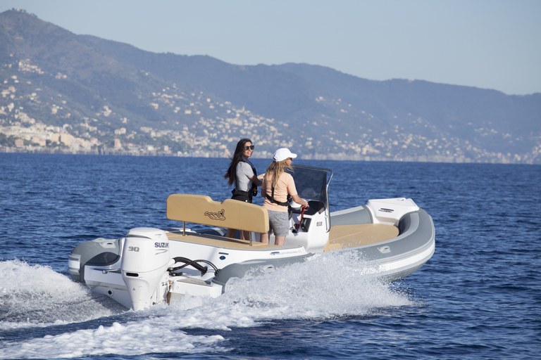 Suzuki DF90AT Außenbordmotor – 90 PS, leicht, stark und effizient – Bild 3